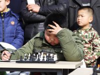 IMG 7934 (2)